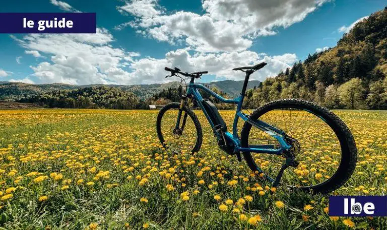 bici elettrica a rate senza busta paga online