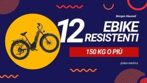 Bicicletta con Portata Massima 150 Kg Decathlon